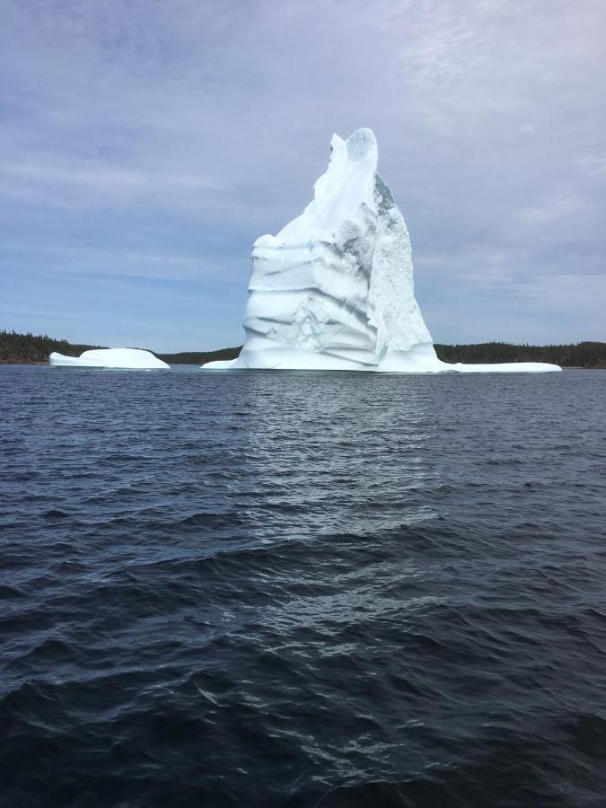 Toulinguet Inn - Suites Twillingate Esterno foto