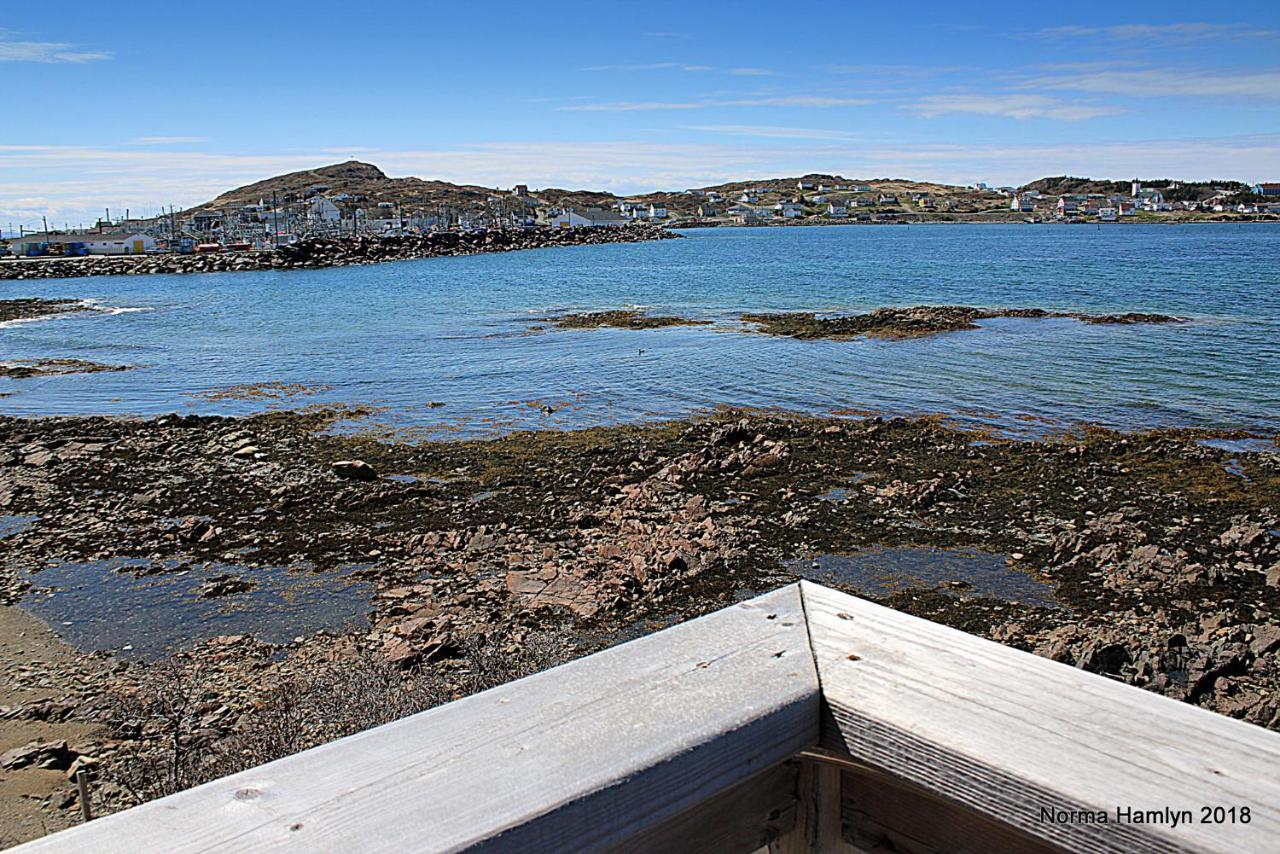 Toulinguet Inn - Suites Twillingate Esterno foto
